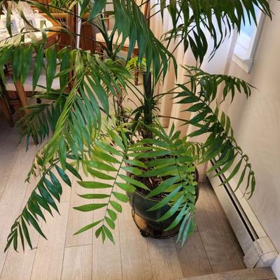 Sale Photo Thumbnail #127