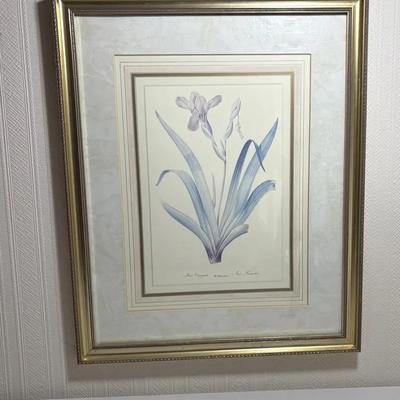 Flower Illustration Prints- Set Of 2