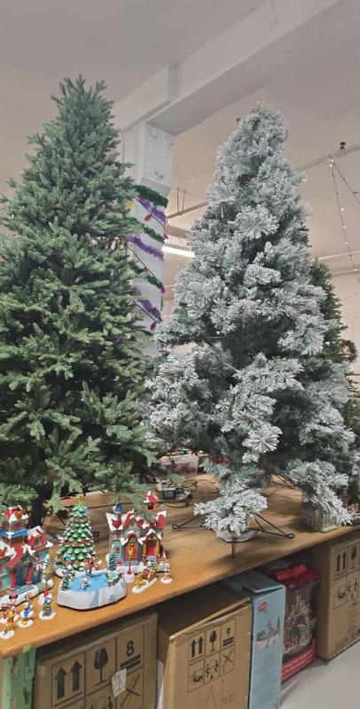 Sale Photo Thumbnail #25