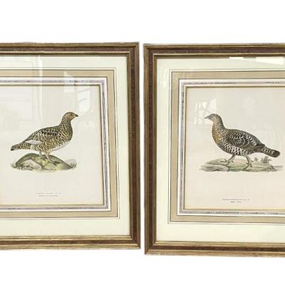 Sale Photo Thumbnail #179