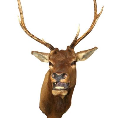 Sale Photo Thumbnail #415