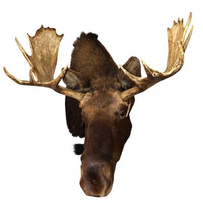 Sale Photo Thumbnail #414