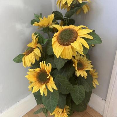 Sale Photo Thumbnail #34