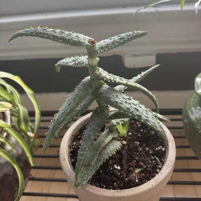 Sale Photo Thumbnail #51