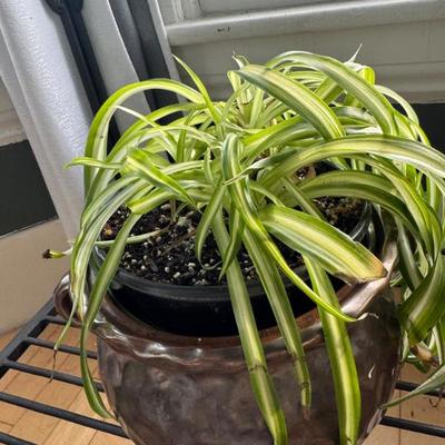 Sale Photo Thumbnail #50