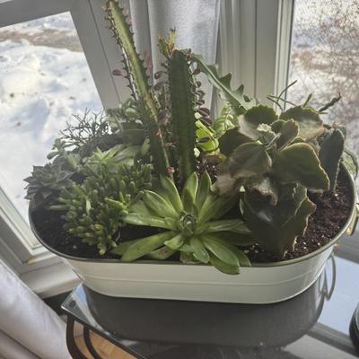 Sale Photo Thumbnail #49