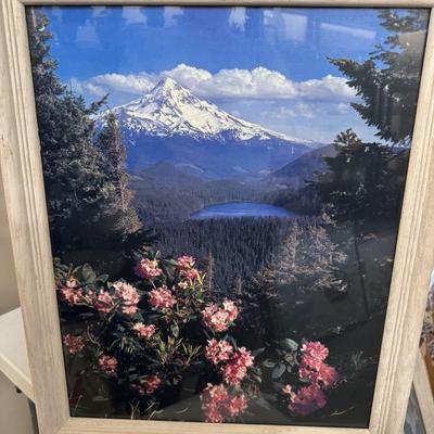 Sale Photo Thumbnail #314