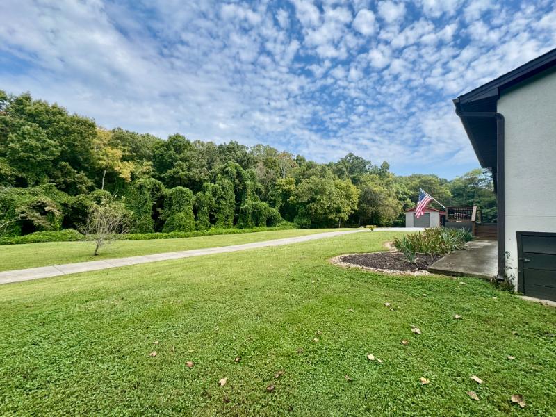 Sale Photo Thumbnail #22