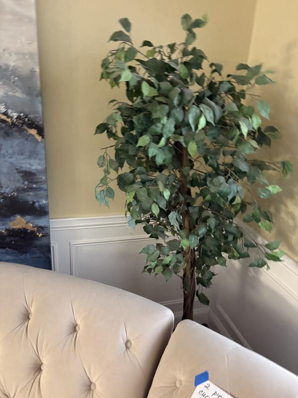 Sale Photo Thumbnail #44