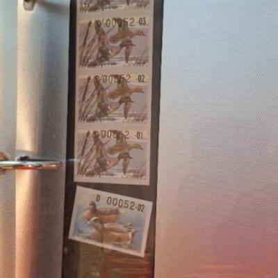 Sale Photo Thumbnail #98