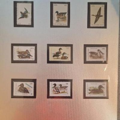 Sale Photo Thumbnail #102