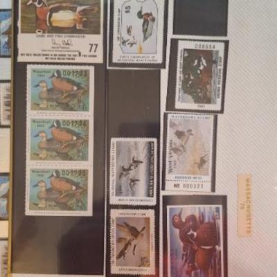 Sale Photo Thumbnail #100