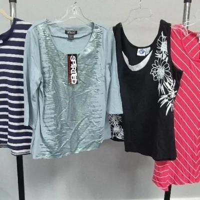 Women's Blouses Sizes Large as 1X By Spired Diane Gilman D&Co.