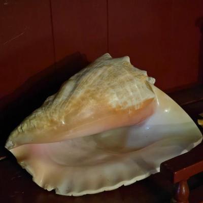 Sale Photo Thumbnail #95