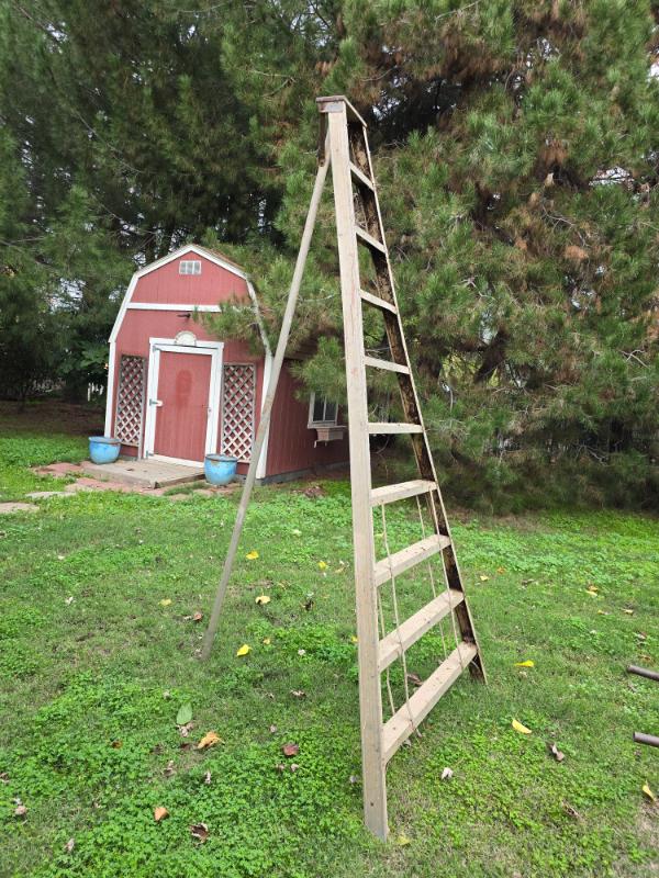 Sale Photo Thumbnail #156