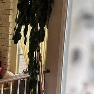 Sale Photo Thumbnail #74