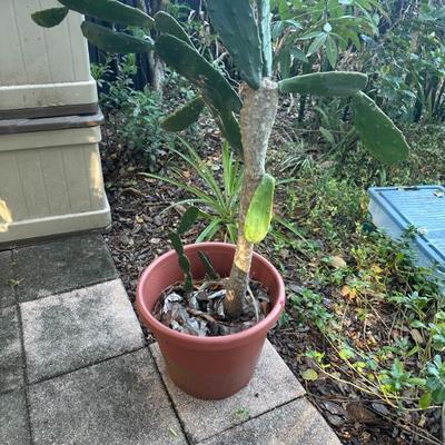 Sale Photo Thumbnail #177