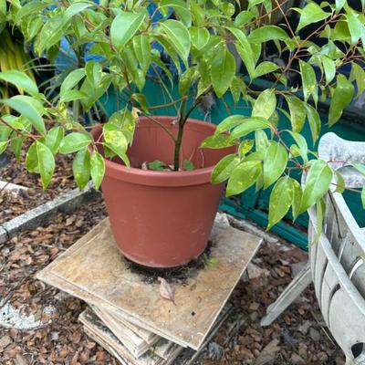 Sale Photo Thumbnail #171