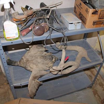 Sale Photo Thumbnail #172