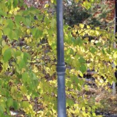 Sale Photo Thumbnail #189