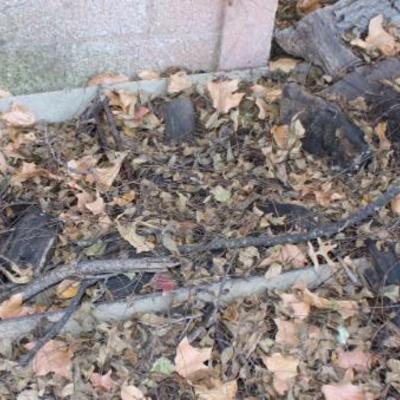 Sale Photo Thumbnail #216