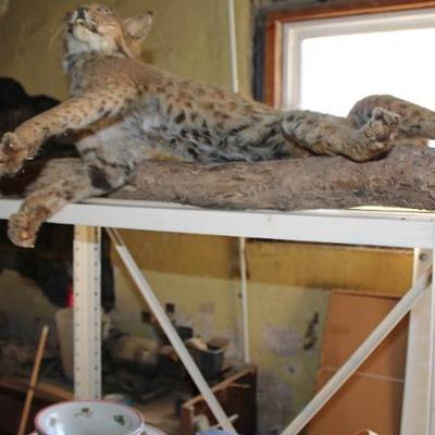 Sale Photo Thumbnail #79