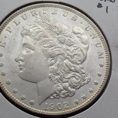 1902 Morgan Dollar