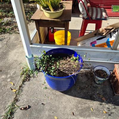 Sale Photo Thumbnail #11