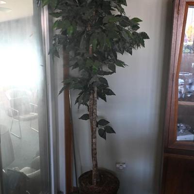 Sale Photo Thumbnail #45