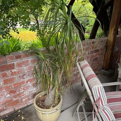 Sale Photo Thumbnail #87