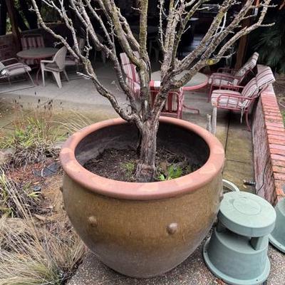 Sale Photo Thumbnail #86