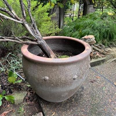 Sale Photo Thumbnail #85