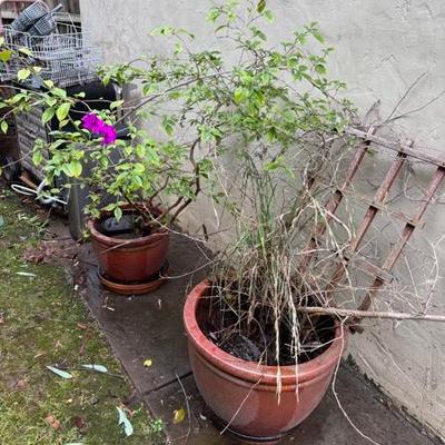 Sale Photo Thumbnail #82