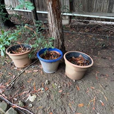 Sale Photo Thumbnail #84