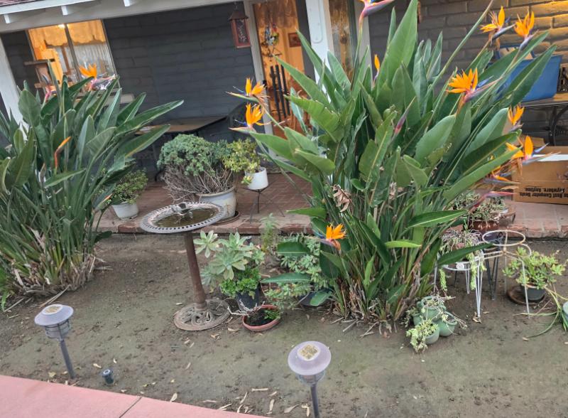 Sale Photo Thumbnail #5