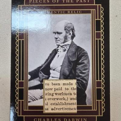 Sale Photo Thumbnail #220