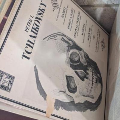 Sale Photo Thumbnail #166