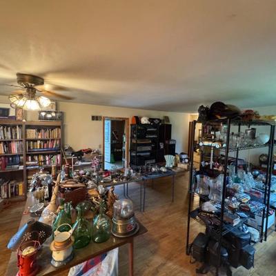 Sale Photo Thumbnail #21: This is just in the living room, kitchen, bedrooms, garage and shed are also full