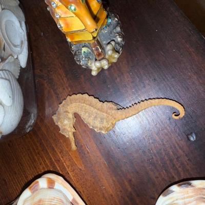 Sale Photo Thumbnail #216