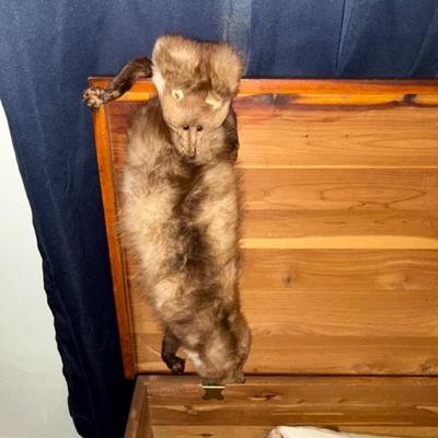 Sale Photo Thumbnail #129