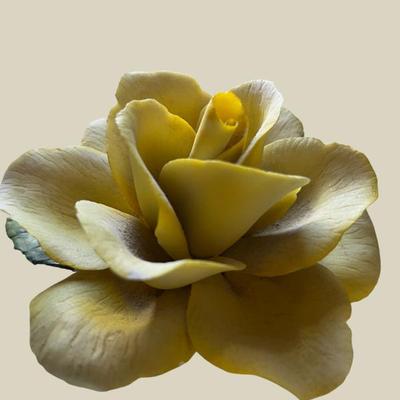 Sale Photo Thumbnail #21