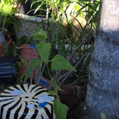 Sale Photo Thumbnail #55