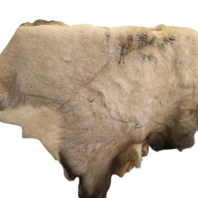 Sale Photo Thumbnail #161