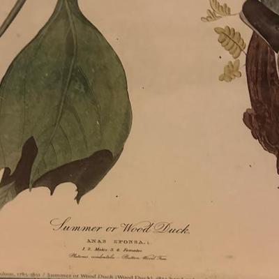 Sale Photo Thumbnail #52