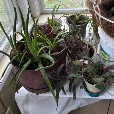 Sale Photo Thumbnail #77