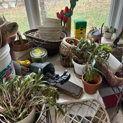 Sale Photo Thumbnail #78