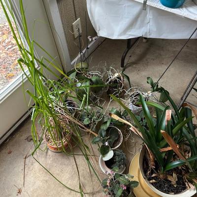 Sale Photo Thumbnail #76