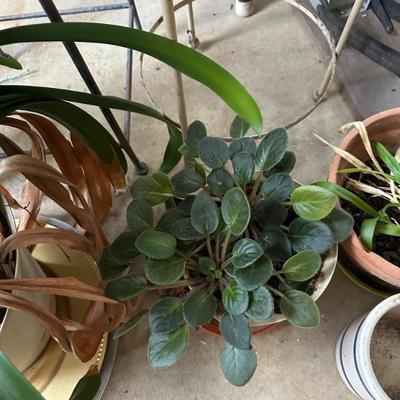 Sale Photo Thumbnail #79