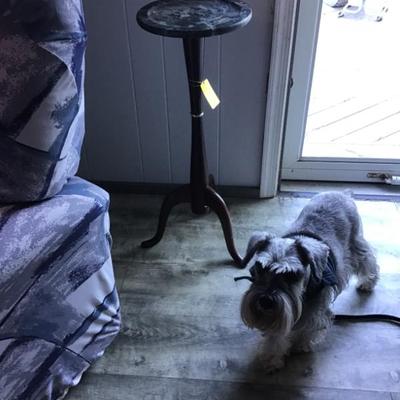 Sale Photo Thumbnail #47