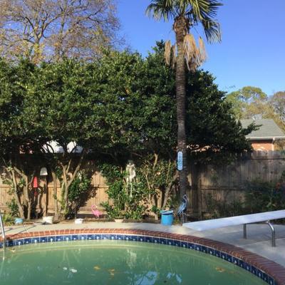 Sale Photo Thumbnail #105